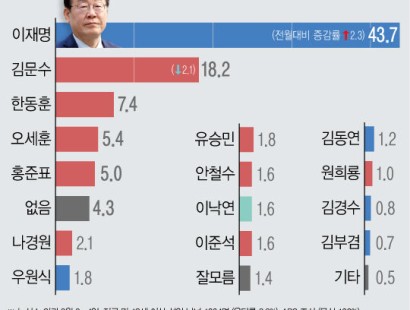 [뉴시스]차기 대선 '국힘 후보' 41.2% '민주 후보' 47.9%…이재명 43.7% 김문수 18.2%[에이스리서치]