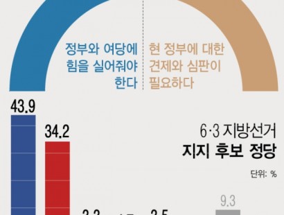 [뉴시스]6·3 지선 '정부·여당에 힘 실어야' 48.9% '현 정부 견제·심판' 44.7%[에이스리서치]